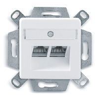 D�twyler 435060 D�twyler Datendose CSA Plus 2/8 Cat.6A (IEC), 2-fach,